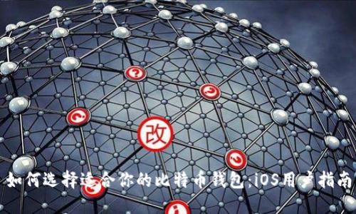 如何选择适合你的比特币钱包:iOS用户指南