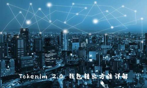 Tokenim 2.0 钱包转出方法详解