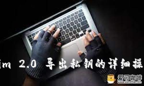 Tokenim 2.0 导出私钥的详细操作指南