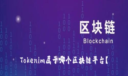 Tokenim属于哪个区块链平台？