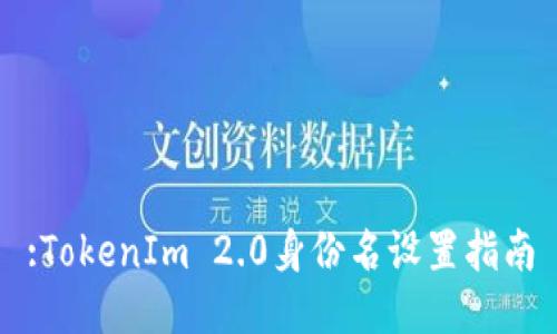 :TokenIm 2.0身份名设置指南