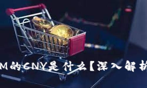 : TokenIM的CNY是什么？深入解析及其意义