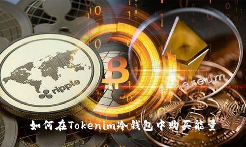 如何在Tokenim冷钱包中购买能量