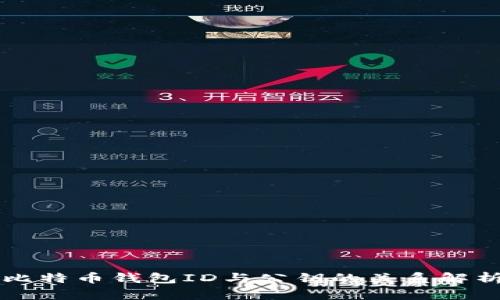 比特币钱包ID与公钥的关系解析