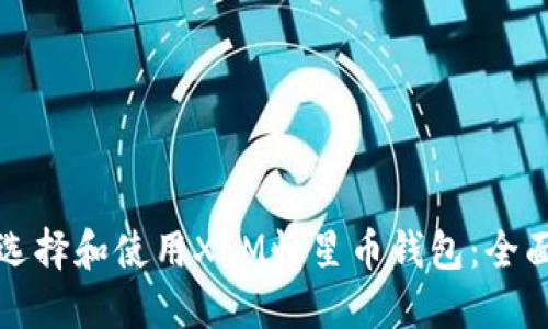 如何选择和使用XLM恒星币钱包：全面指南