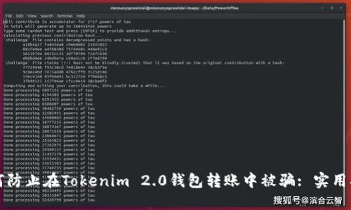 如何防止在Tokenim 2.0钱包转账中被骗: 实用指南