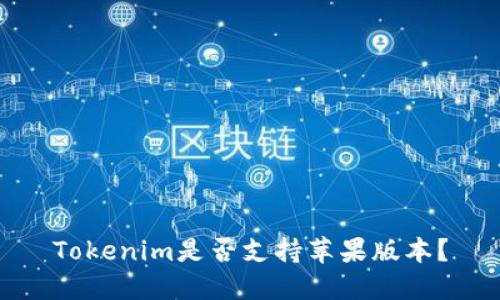 Tokenim是否支持苹果版本？