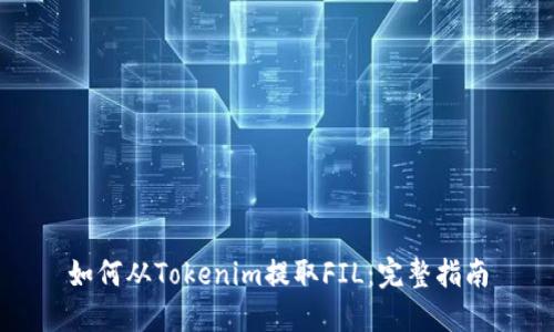 如何从Tokenim提取FIL：完整指南
