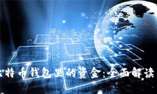 如何找回比特币钱包里的资金：全面解读与实用指南