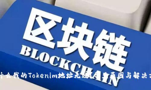 为什么我的Tokenim地址无效？常见原因与解决方案
