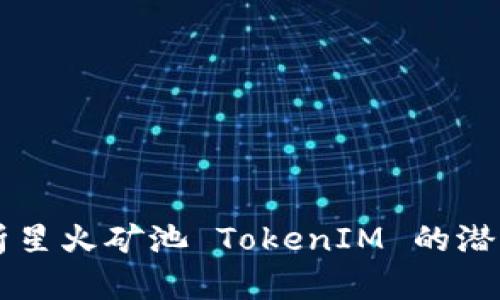 深入解析星火矿池 TokenIM 的潜力与应用
