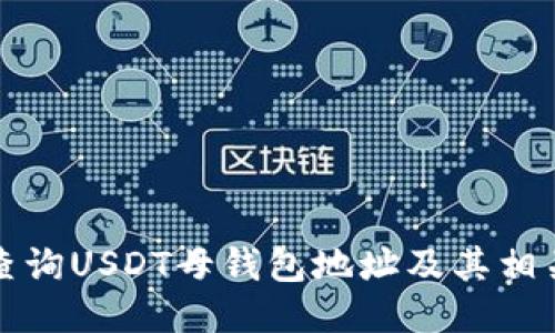 如何查询USDT母钱包地址及其相关信息