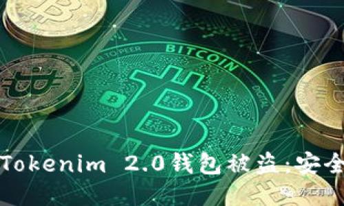 如何防止Tokenim 2.0钱包被盗：安全防护指南