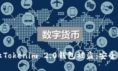 如何防止Tokenim 2.0钱包被盗：安全防护指南