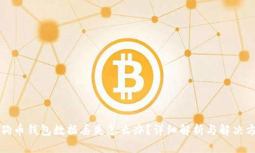 狗狗币钱包数据丢失怎么办？详细解析与解决方案
