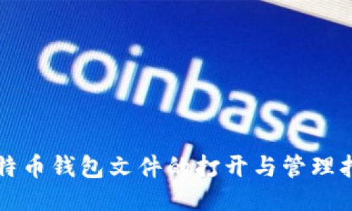 比特币钱包文件的打开与管理指南