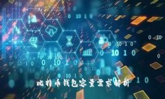 比特币钱包容量需求解析