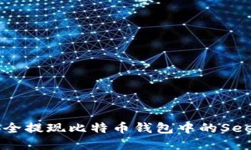 如何安全提现比特币钱包中的Seele资产