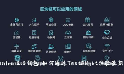 Tokenim 2.0钱包：如何通过TestFlight体验最新功能