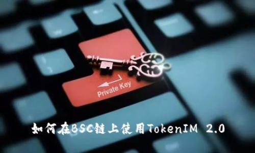如何在BSC链上使用TokenIM 2.0