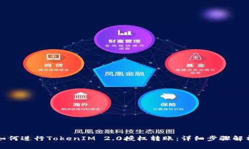 如何进行TokenIM 2.0授权转账：详细步骤解析