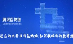 被遗忘的比特币钱包地址