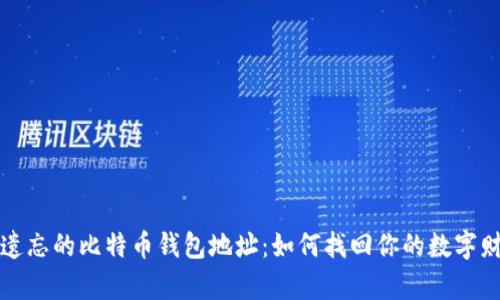 被遗忘的比特币钱包地址：如何找回你的数字财富