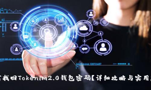 如何找回Tokenim2.0钱包密码？详细攻略与实用建议