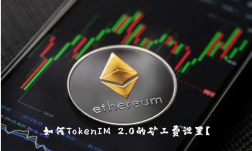如何TokenIM 2.0的矿工费设置？