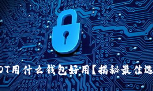 USDT用什么钱包好用？揭秘最佳选择！