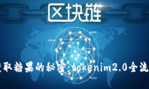 手机获取糖果的秘密：tokenim2.0全流程揭秘