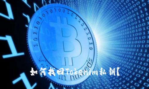 如何找回Tokenim私钥？