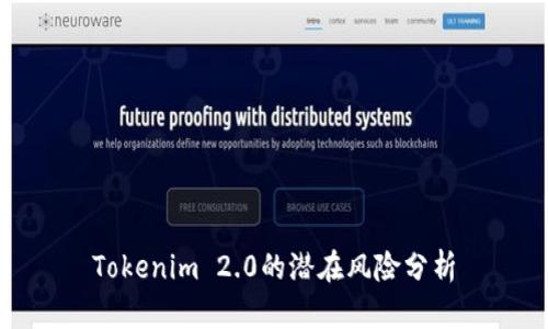 Tokenim 2.0的潜在风险分析