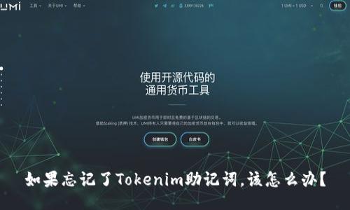 如果忘记了Tokenim助记词，该怎么办？