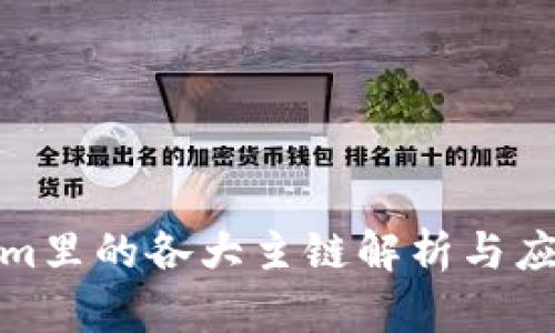 Tokenim里的各大主链解析与应用场景