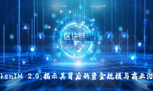 TokenIM 2.0：揭示其背后的资金规模与商业潜力