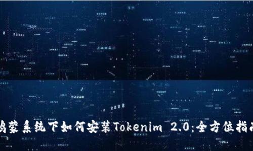 鸿蒙系统下如何安装Tokenim 2.0：全方位指南