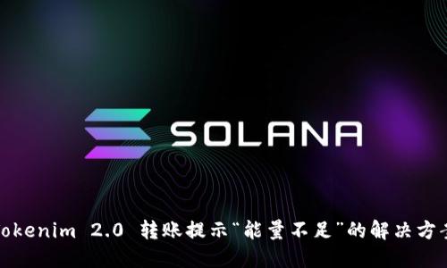 Tokenim 2.0 转账提示“能量不足”的解决方案
