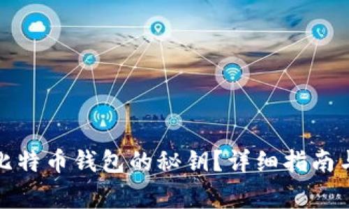 如何查看比特币钱包的秘钥？详细指南与注意事项