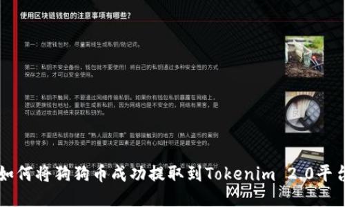 如何将狗狗币成功提取到Tokenim 2.0平台