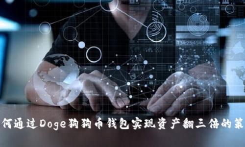 如何通过Doge狗狗币钱包实现资产翻三倍的策略