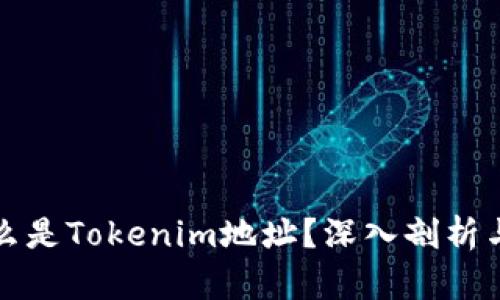 : 什么是Tokenim地址？深入剖析与应用