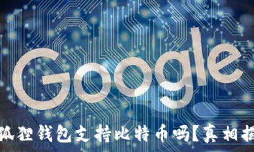   
小狐狸钱包支持比特币吗？真相揭秘