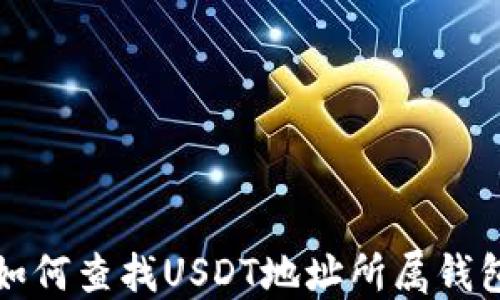 
如何查找USDT地址所属钱包