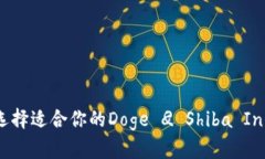 如何选择适合你的Doge