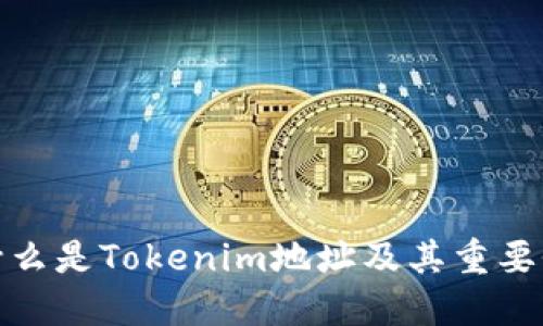 什么是Tokenim地址及其重要性