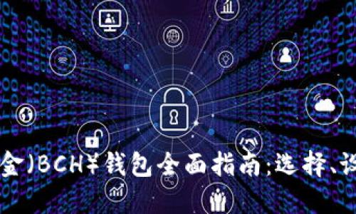 比特币现金（BCH）钱包全面指南：选择、设置与使用