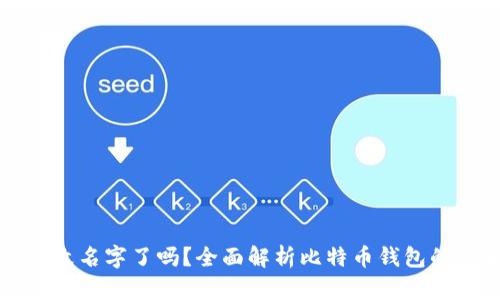 比特币钱包改名字了吗？全面解析比特币钱包的演变与未来