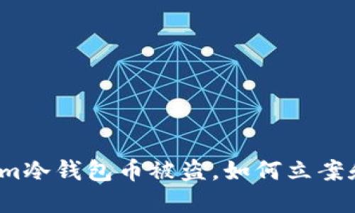 Tokenim冷钱包币被盗，如何立案和维权？