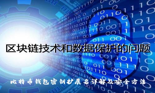 比特币钱包密钥扩展名详解及安全方法